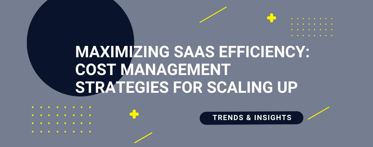 SaaS cost management: strategies to optimize your development & scaling [Best Practices]